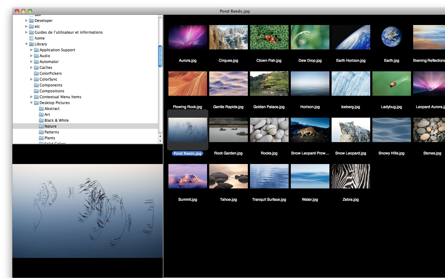 photo viewer program for mac